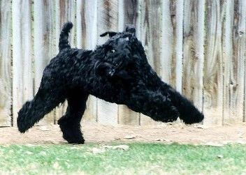Running Running